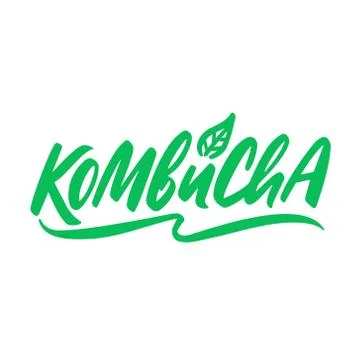 Kombucha hand written vector logo. Kombucha healthy fermented probiotic tea Stock Illustration