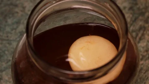 Kombucha preparation process - Tea mushroom floating in a jar with a tea Stock Footage 76490119