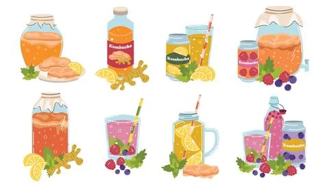 Kombucha still life set in flat cartoon style with bottles, jar, glasses an.. Stock-Illustration
