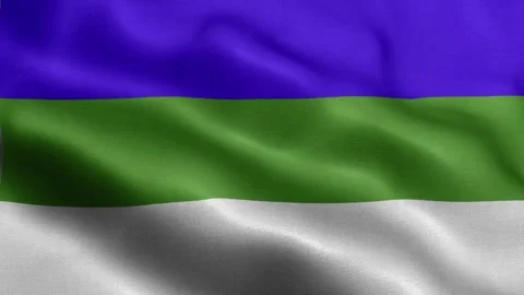 Komi flag Front Stock Footage 318666143