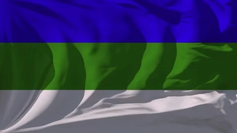 Komi Flag Loop Stock Footage 295727041