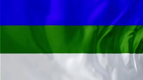 Komi Flag Waving Motion Animation 4K Stock Footage 313717051