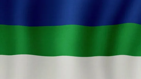 Komi Republic. The flag flutters in the wind Stock Footage 206800639