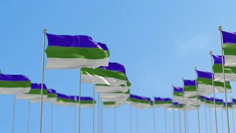 Komi Row Of Flags 3D Animation Video stock 148708584