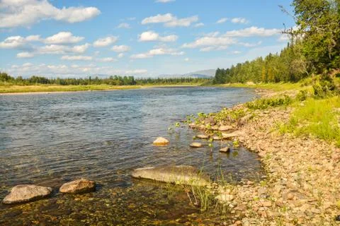 Komi virgin forests. Stock Photos