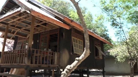 Komodo dragon sheltering in shade of hut notices pigeon No Sound Stock Footage 87147559