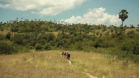 Komodo island Stock Footage 44917157