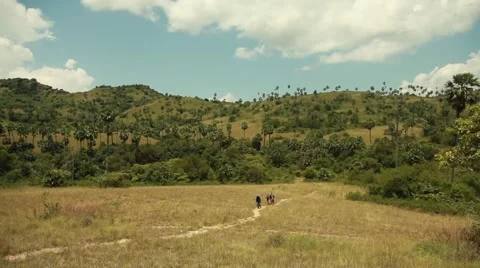 Komodo island Stock Footage 44917162
