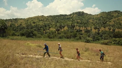 Komodo island Stock Footage 44917165