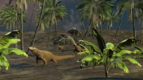 Komodo island Stock Footage 167655554