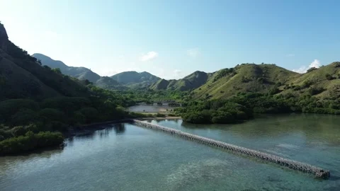 Komodo Island Video stock 259757586