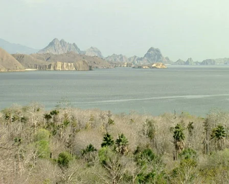 Komodo island overview  Video stock 664622