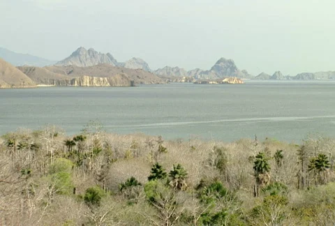 Komodo island overview  Stock Footage 664640