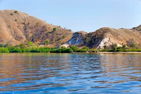 Komodo Island Stock Photos