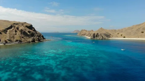 Komodo1 Stock Footage 96323212