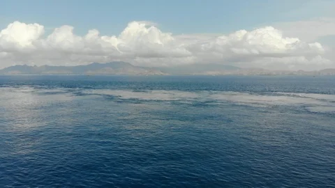 Komodo14 Stock Footage 96326640