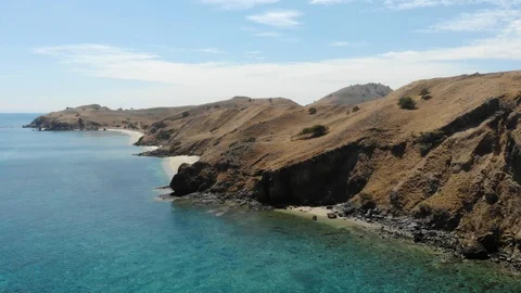 Komodo2 Stock Footage 96323570