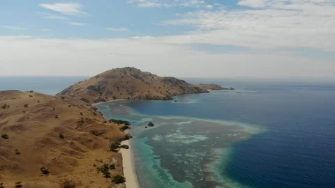 Komodo3 Stock Footage 96323833