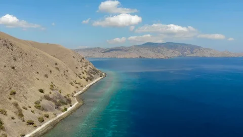 Komodo4 Stock Footage 96324010