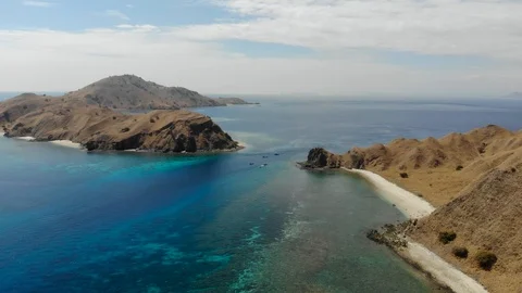 Komodo5 Stock Footage 96324172