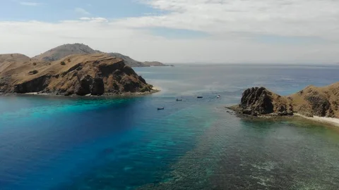 Komodo6 Stock Footage 96324464