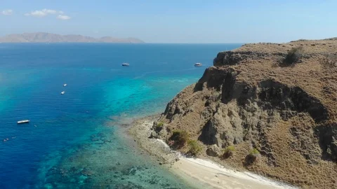 Komodo8 Stock Footage 96324797