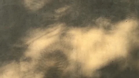 Komorebi Light, Moving Tree shadow looping footage Stock Footage 267417828