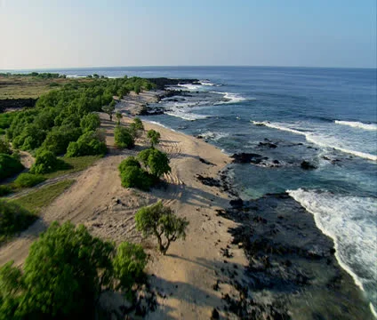 Kona Coastline Video stock 22691616