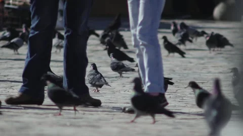 Konak Crowd 2012 Stock Footage 335966466