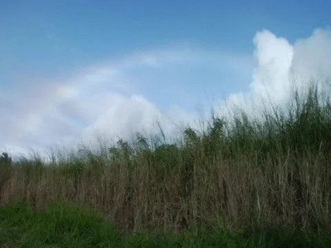 KonaRainbowField Stock Footage 283876