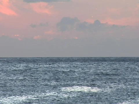 KonaWhaleJump Stock Footage 283880