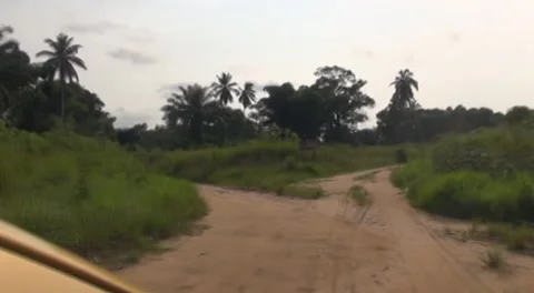 Kongo Pointe Noire Way to Diosso Stock Footage 168318972