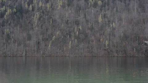 Konigsee boat view 스톡 동영상 95227975