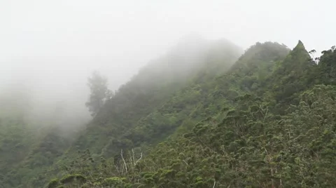 Koolau cliffs shrouded in fog. Video stock 49401665