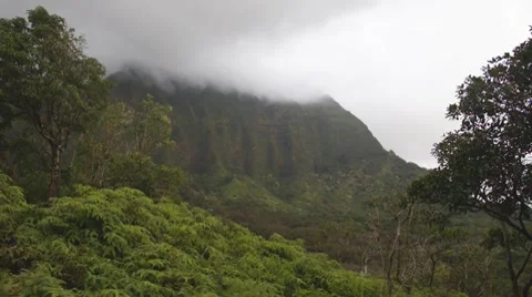 Koolau misty mountains 2 動画素材 8367107