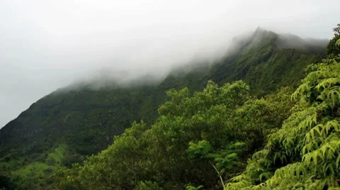Koolau misty mountains 動画素材 8243439