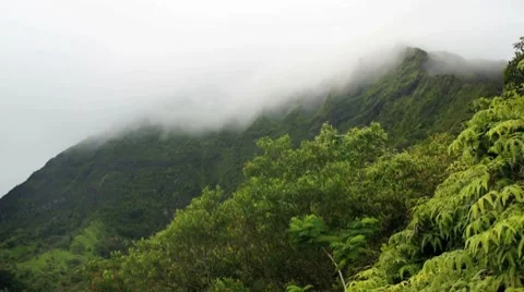 Koolau misty mountains time lapse 動画素材 8252293