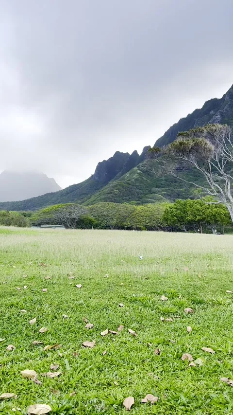 Koolau Mountain Range Oahu Video stock 325478801