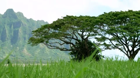 Koolau mountains viewed across Kaneohe Bay on Windward Oahu Hawaii Stock Footage 66693232