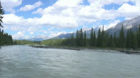 Kootenay flow (Kootenay NP) Stock Footage 329520