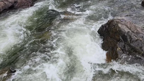 Into Kootenay River Stock Footage 243455100