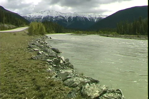 Kootenay Roadside Video stock 818441