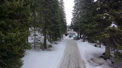 Kopaonik access road to the mountain hut Stock Footage 330680443
