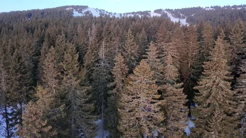 Kopaonik Vucak Peak Stock Footage 330683110