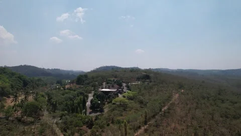 Kopi Banaran Ungaran Semarang Stock Footage 252551153