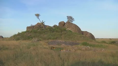 Kopjes Stock Footage 10722940