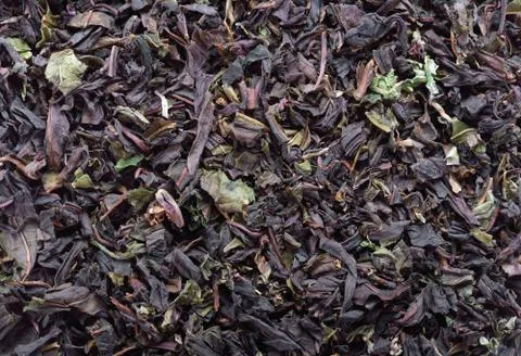 Koporye Tea closeup Stock Photos