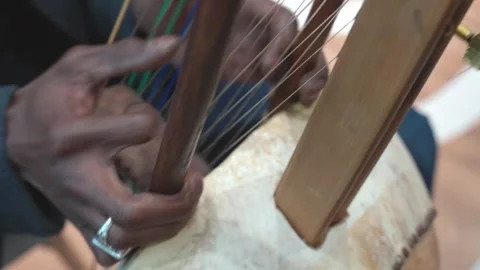 Kora Player, West African Strings Instrument Stock Footage 304840427