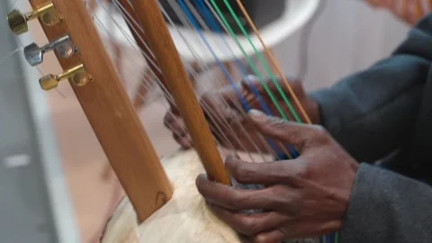 Kora Player, West African Strings Instrument Video stock 304840514