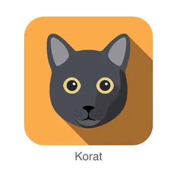 Korat Cat, Cat breed face cartoon flat icon design Stock Illustration